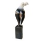The Ballerina